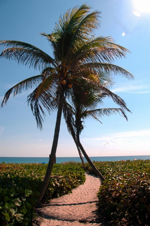 The Dover House Resort image 1