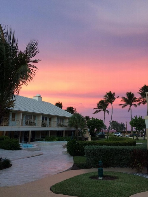The Dover House Resort image 13